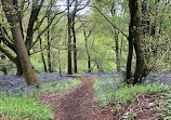 Waseley Hills Country Park