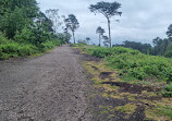 Lickey Hills Playground