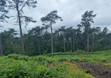 Lickey Hills Playground