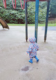 Lickey Hills Playground