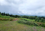 Lickey Hills Playground