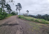 Lickey Hills Playground