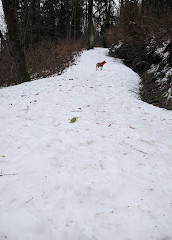 Manzaralı Park