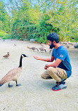 Burnaby Lake Regional Park