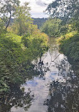 Burnaby Lake Regional Park