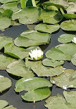 Burnaby Lake Regional Park