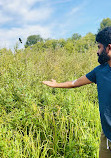 Burnaby Lake Regional Park