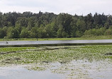 Burnaby Lake Regional Park