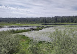 Burnaby Lake Regional Park