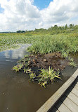 Burnaby Lake Regional Park