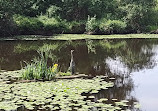 Burnaby Lake Regional Park