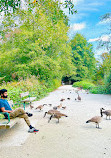 Burnaby Lake Regional Park