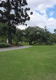 Victoria Park