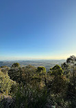 Rotary Lookout