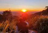 Rotary Lookout