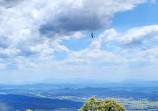 Rotary Lookout