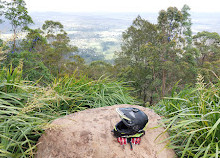 Rotary Lookout