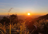 Rotary Lookout