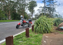 Rotary Lookout