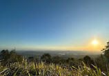 Rotary Lookout