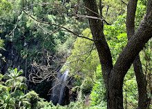 Belvédère du chemin Knoll