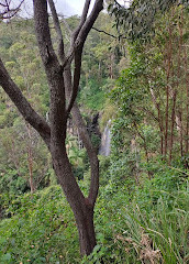 Belvédère du chemin Knoll