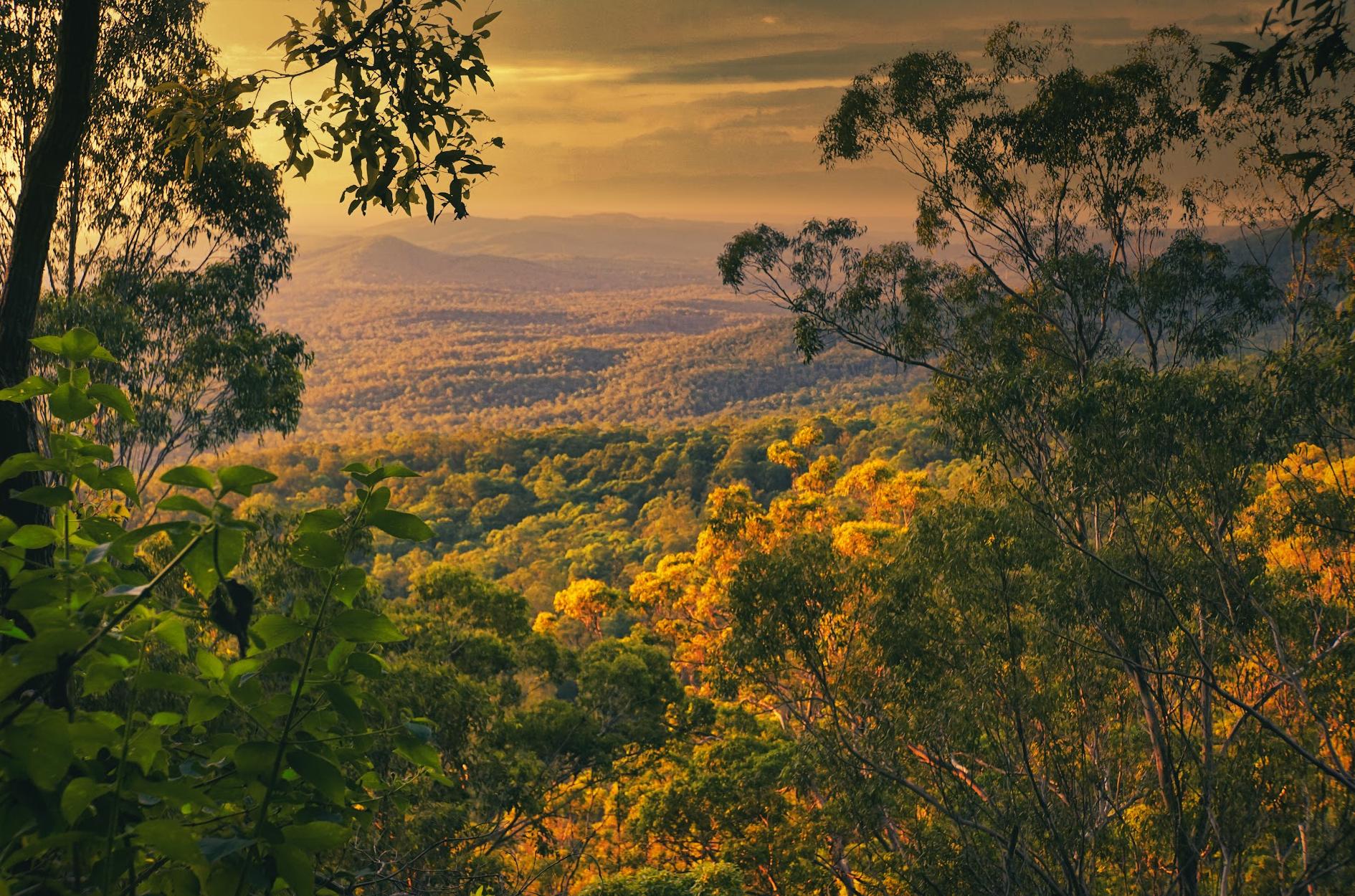 Beacon Lookout