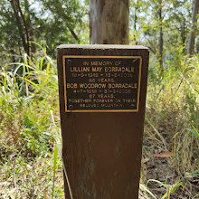 Beacon Lookout