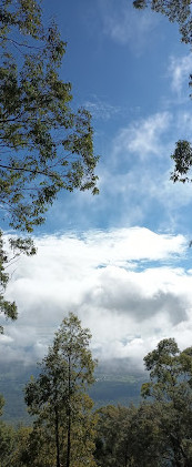 Beacon Lookout