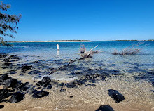 Elliott Heads Beach