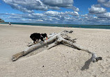 Elliott Heads Beach