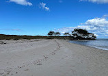 Elliott Heads Beach