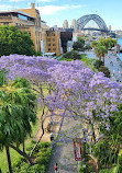 Cahill Walk Lookout