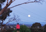 Mount Cooper Lookout