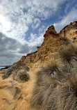 Red Bluff Lookout