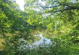 Yarrow Valley Country Park