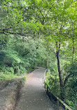 Yarrow Valley Country Park