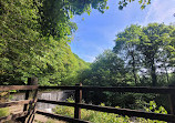 Yarrow Valley Country Park