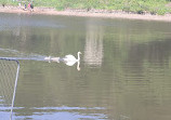 Yarrow Valley Country Park