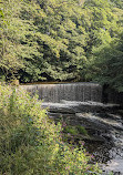 Yarrow Valley Country Park