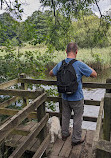 Yarrow Valley Country Park