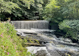 Yarrow Valley Country Park