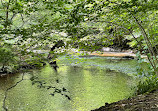 Yarrow Valley Country Park