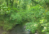 Yarrow Valley Country Park