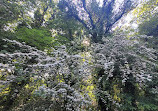 Yarrow Valley Country Park