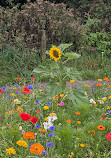 Yarrow Valley Country Park