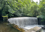 Yarrow Valley Country Park