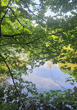 Yarrow Valley Country Park