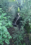 Yarrow Valley Country Park