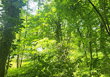 Yarrow Valley Country Park